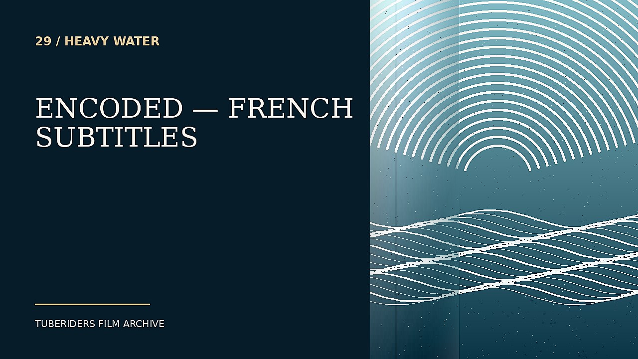 ENCODED — French Subtitles thumbnail